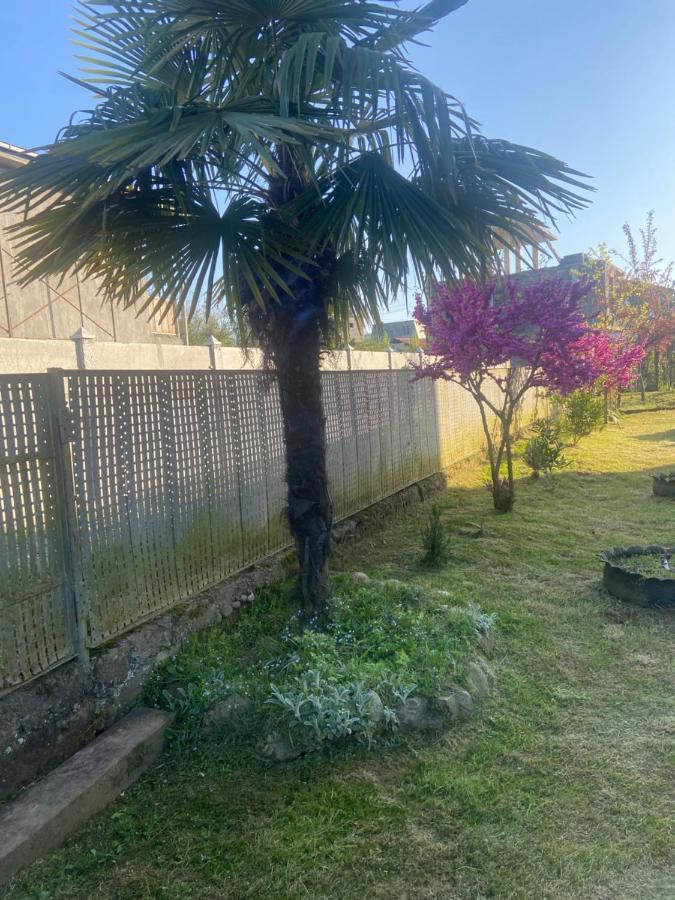 Luka Family Guest House Batum Dış mekan fotoğraf
